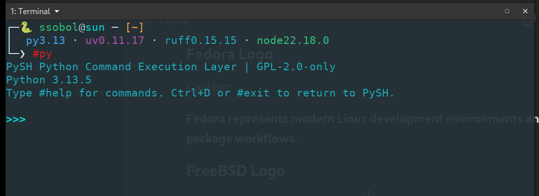 PySH Python Command Execution Layer — interactive REPL mode